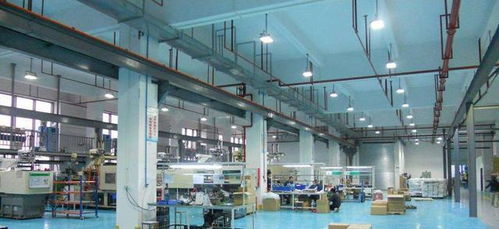 朱麗麗 賣衣服發家成杭州富婆,一頓飯消費達百萬,現過得如何